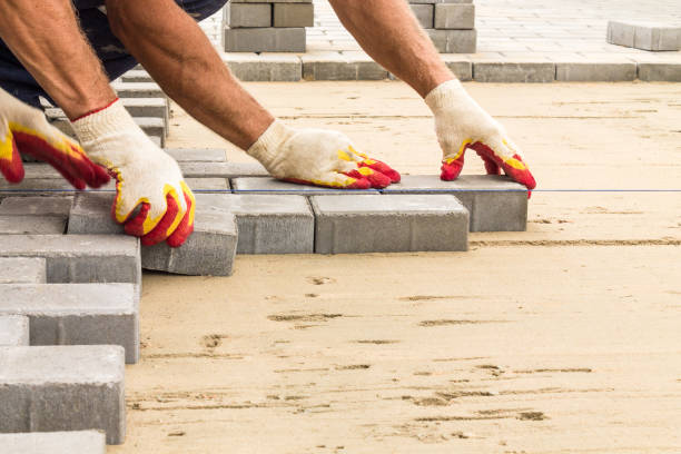 Best Professional Driveway Pavers  in La Homa, TX