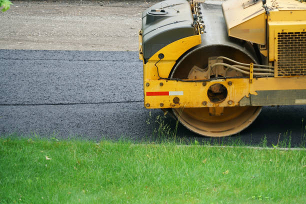 Best Residential Driveway Paver Services  in La Homa, TX