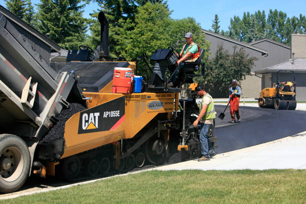 Best Cobblestone Driveway Pavers  in La Homa, TX